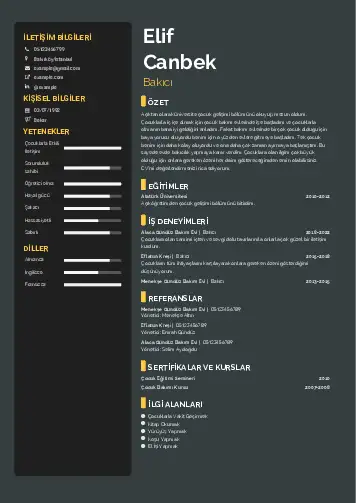 Bakıcı Cv Örnekleri cv indir